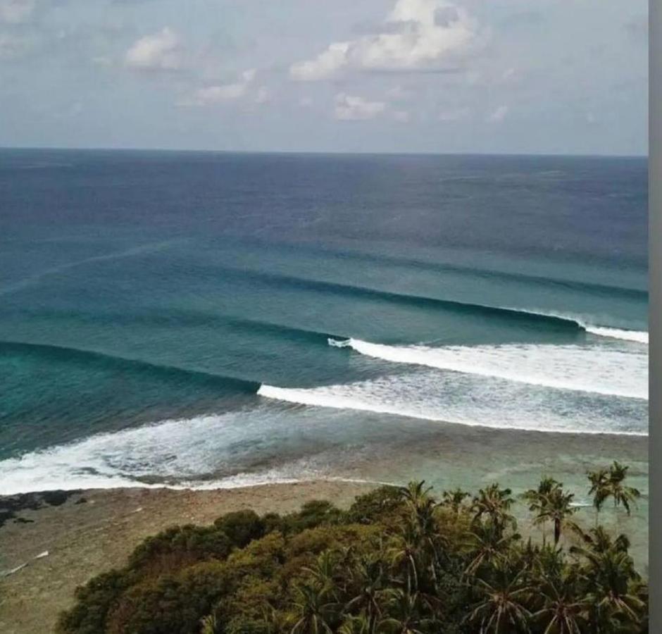 מלון מולי Eq Surf Retreat מראה חיצוני תמונה